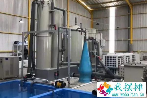 小型工厂化循环水养鱼成本，附循环水养鱼系统介绍
