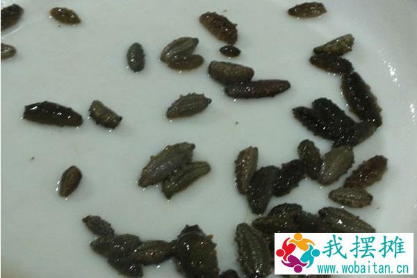 养海参苗赚钱吗