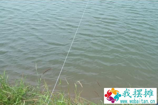 对虾养殖水质大全