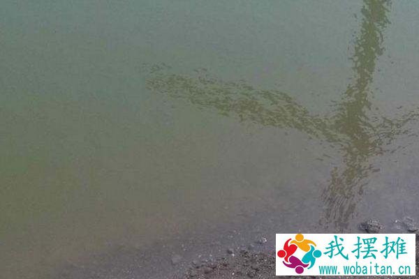 对虾养殖水质大全