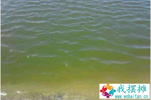 对虾养殖水质大全