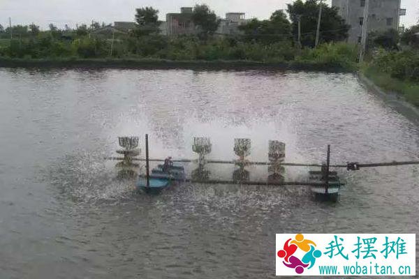 对虾养殖水质大全