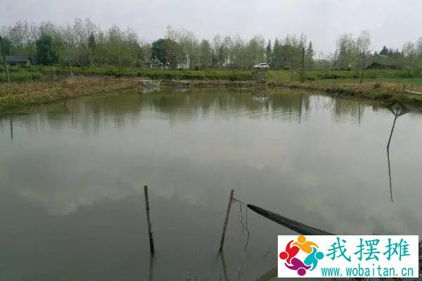 对虾养殖水质大全