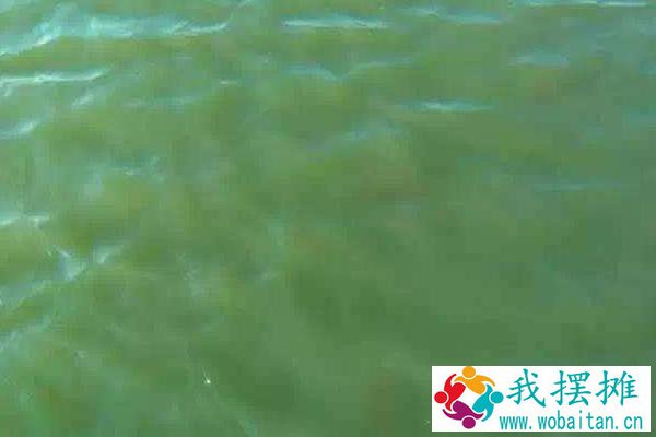 对虾养殖水质大全