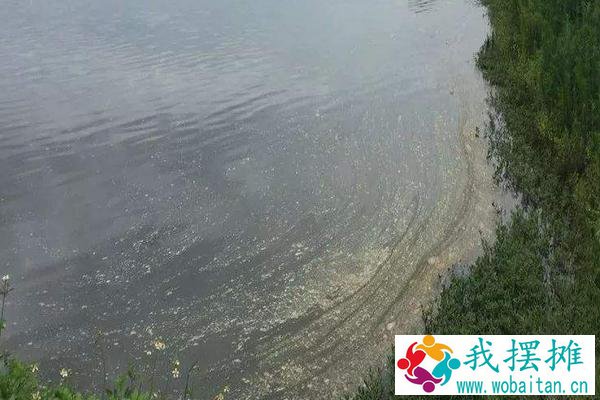 对虾养殖水质大全