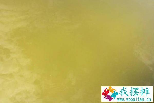对虾养殖水质大全