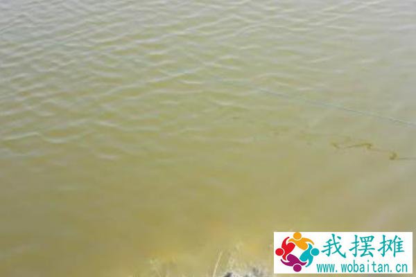 对虾养殖水质大全