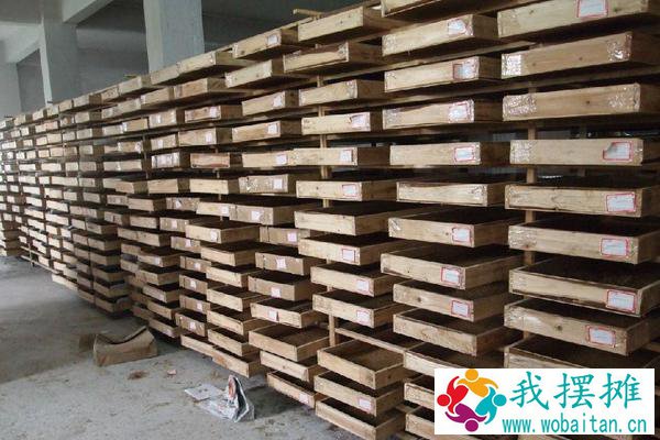一斤黄粉虫养殖成本