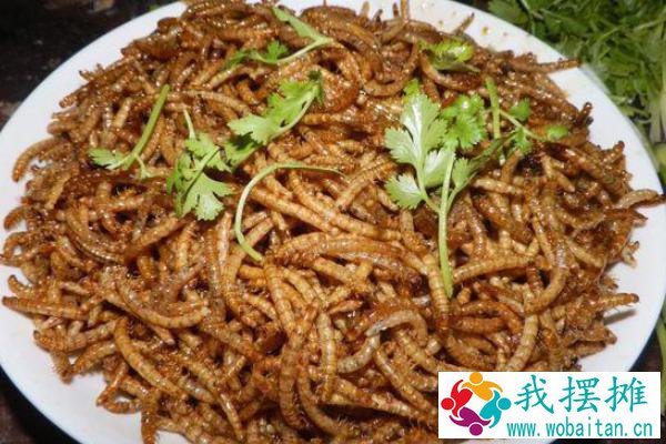 一斤黄粉虫养殖成本