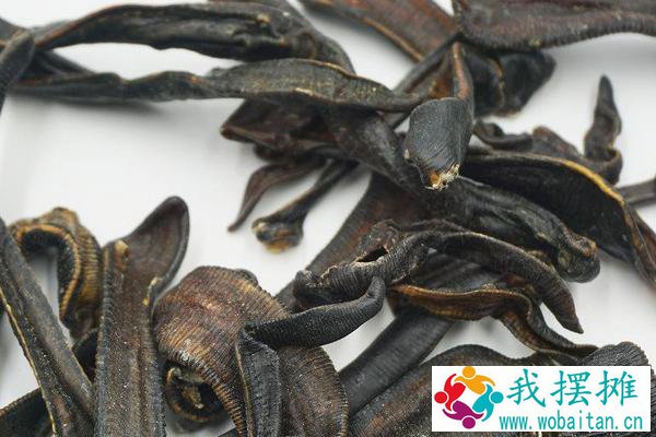 蚂蝗养殖挣钱吗
