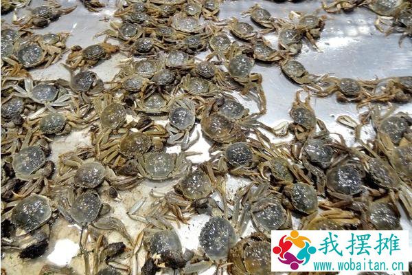 河蟹怎么越冬