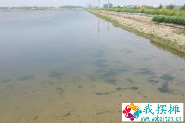 河蟹怎么越冬