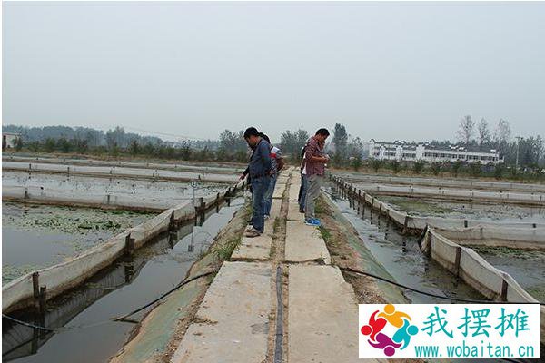 养水蛭的网箱的价格
