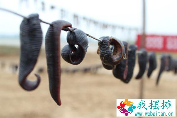 养水蛭需要做环评吗