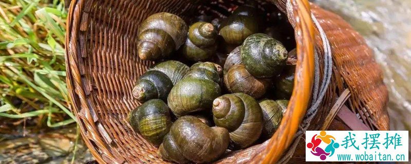 田螺养殖怎样堆肥