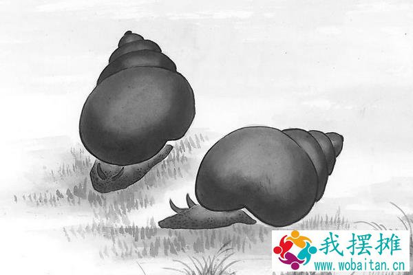 田螺对水草的危害