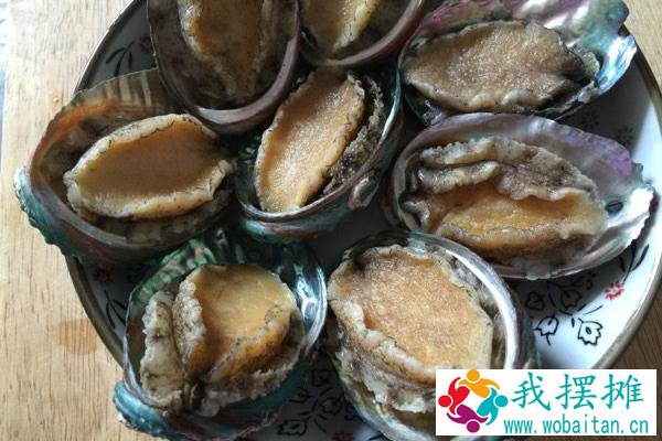买回来的鲍鱼如何养