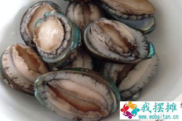 买回来的鲍鱼如何养