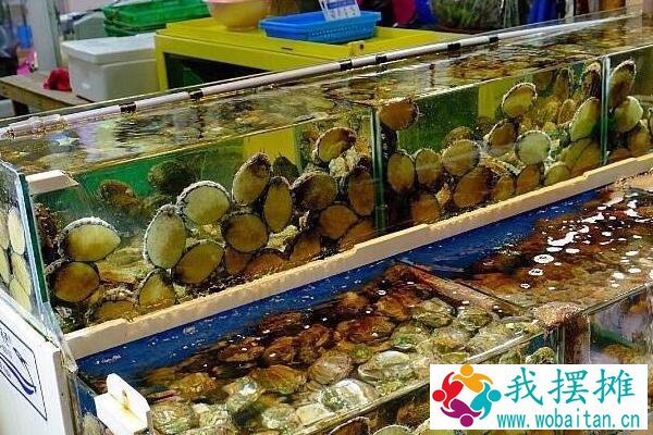 海鲜店如何养鲍鱼