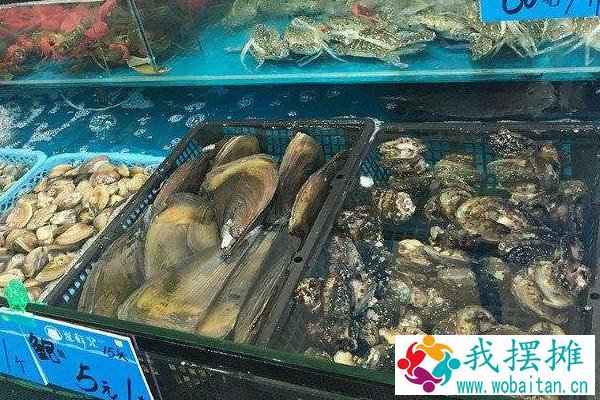海鲜店如何养鲍鱼