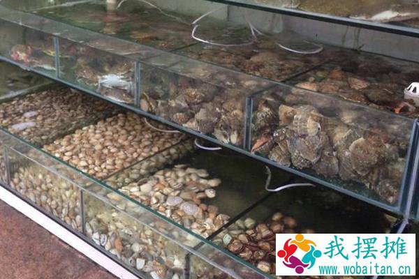 海鲜店如何养鲍鱼