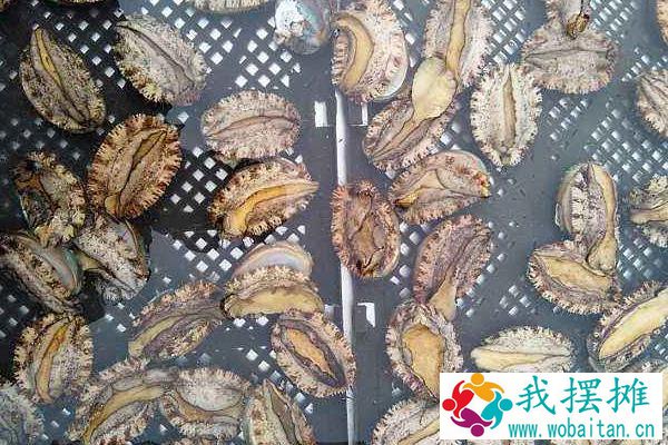 海鲜店如何养鲍鱼