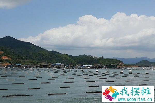 海参怎么养