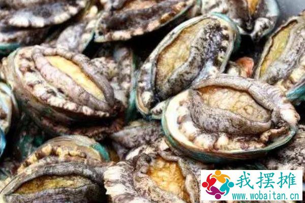 海鲜池养鲍鱼盐度