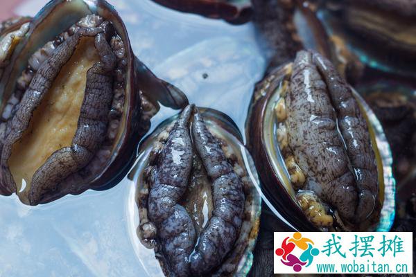 海鲜池养鲍鱼盐度