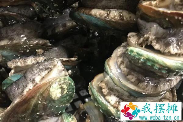 海鲜池养鲍鱼盐度