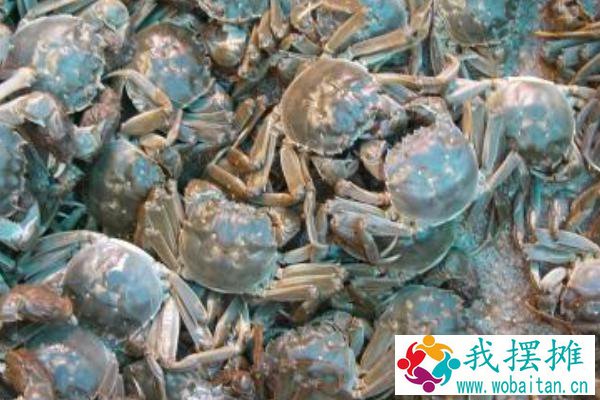 大棚养河蟹