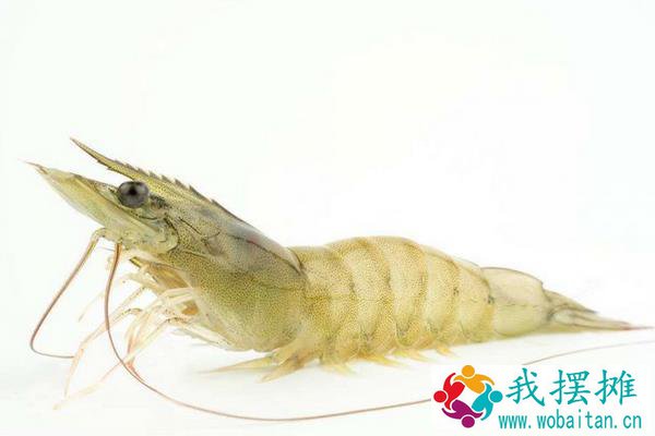 南美白对虾的优缺点