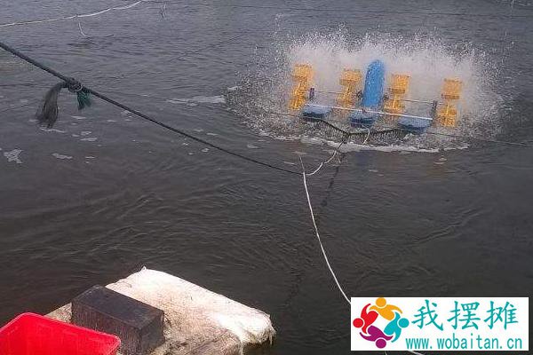 养海参水深多少米合适