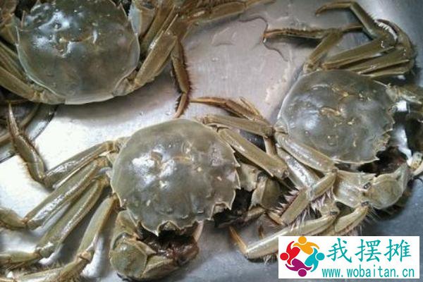 养河蟹的基本知识