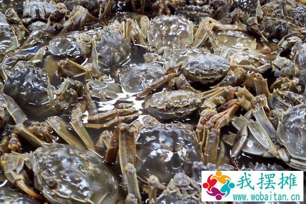 河蟹养殖条件