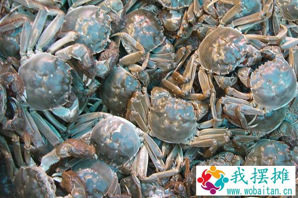 河蟹养殖周期