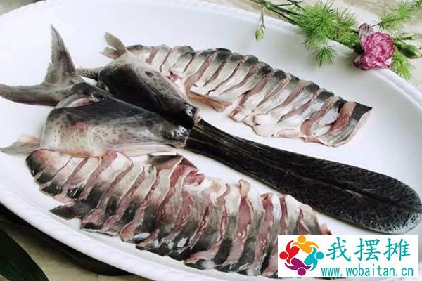 鸭嘴鱼的肉质特点