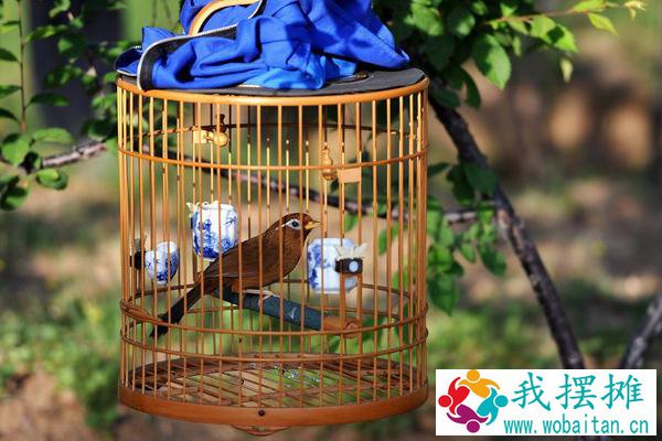 养画眉用什么笼子