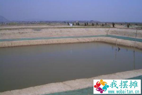 养虾的池子怎么建