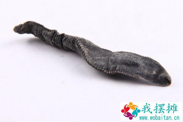 养水蛭有什么用