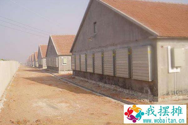 肉鸡养殖鸡舍建设
