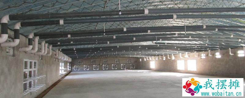 肉鸡养殖大棚应怎么建