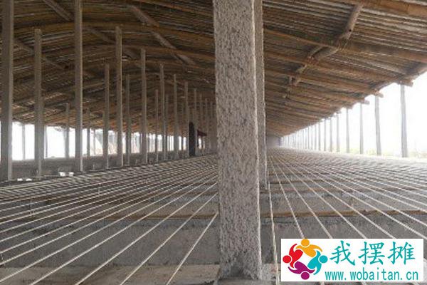 肉鸡养殖大棚应怎么建