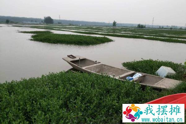养小龙虾需要什么条件