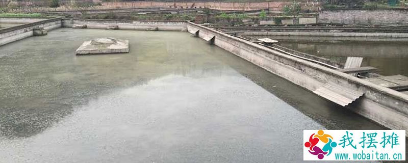 甲鱼养殖场建设