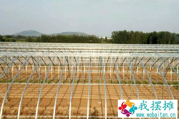 养鸡场大棚投资多少钱