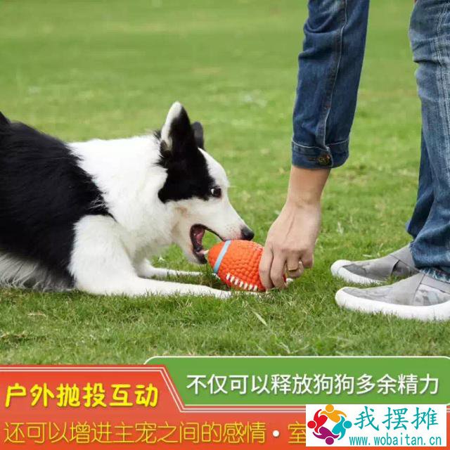 清明小长假“报复性出行”热潮来袭 京东宠物“遛狗神器”成交额增长600%