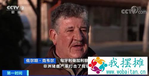 危机预警！这种是一般猪肉价格4倍的猪，因为猪瘟，濒临灭绝了？