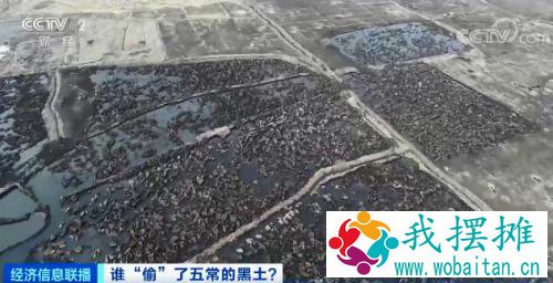 土也有人偷？！盗挖数万平方米！公安机关出手了